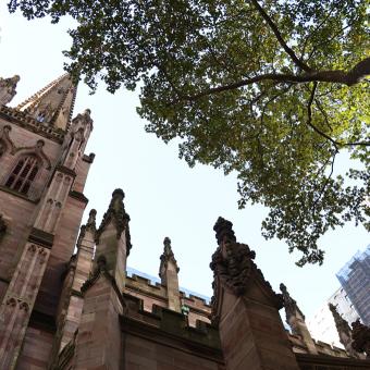 Trinity Church's steeple, seen through leaves and branches of trees in the Churchyard.