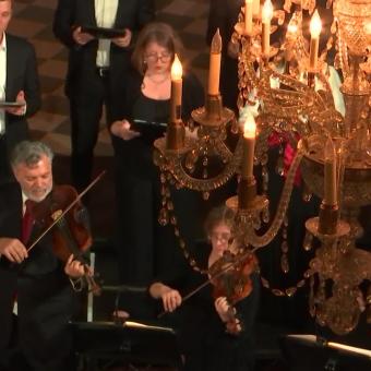 Divine Muse: Honoring St. Cecilia