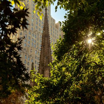 Trinity church tower behind trees